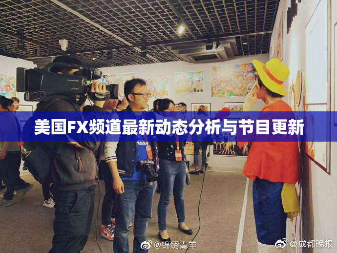 美国FX频道最新动态分析与节目更新