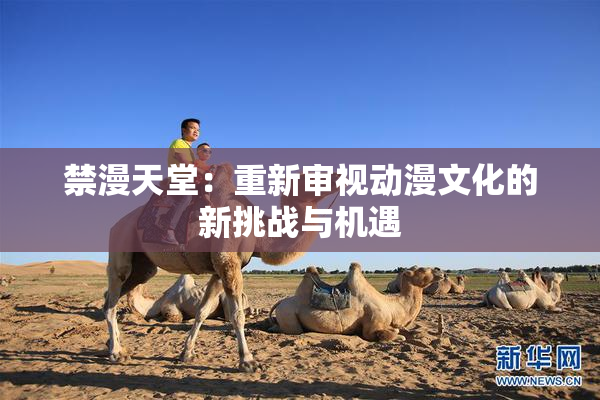 禁漫天堂：重新审视动漫文化的新挑战与机遇
