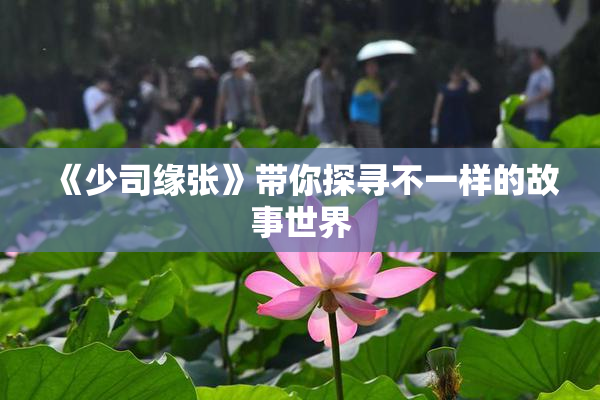 《少司缘张》带你探寻不一样的故事世界