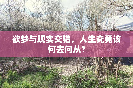 欲梦与现实交错，人生究竟该何去何从？