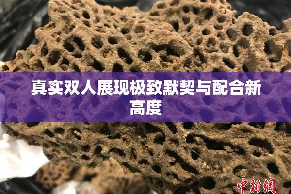 真实双人展现极致默契与配合新高度
