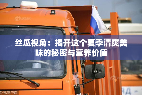 丝瓜视角：揭开这个夏季清爽美味的秘密与营养价值