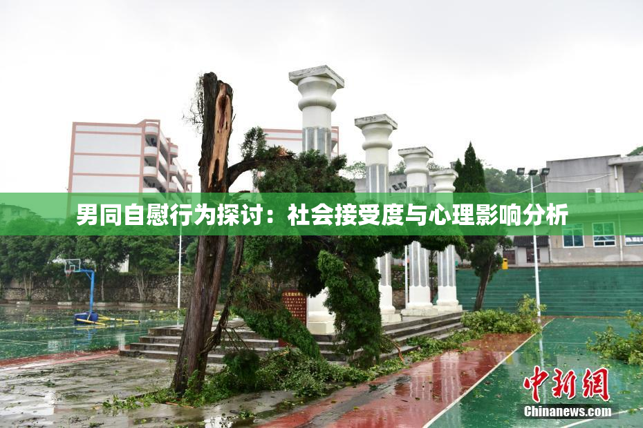 男同自慰行为探讨：社会接受度与心理影响分析