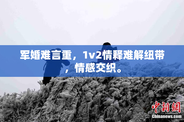 军婚难言重，1v2情释难解纽带，情感交织。