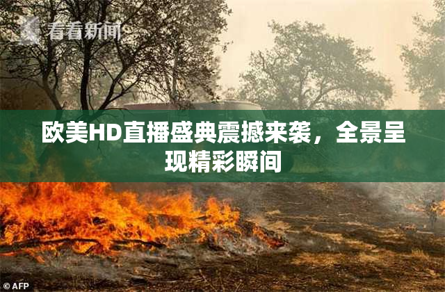 欧美HD直播盛典震撼来袭，全景呈现精彩瞬间