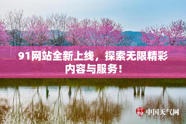91网站全新上线，探索无限精彩内容与服务！
