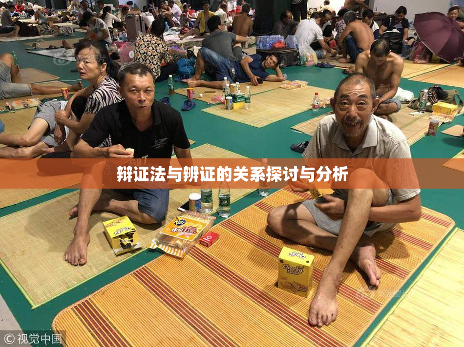 辩证法与辨证的关系探讨与分析