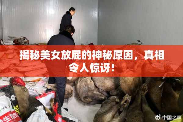 揭秘美女放屁的神秘原因，真相令人惊讶！
