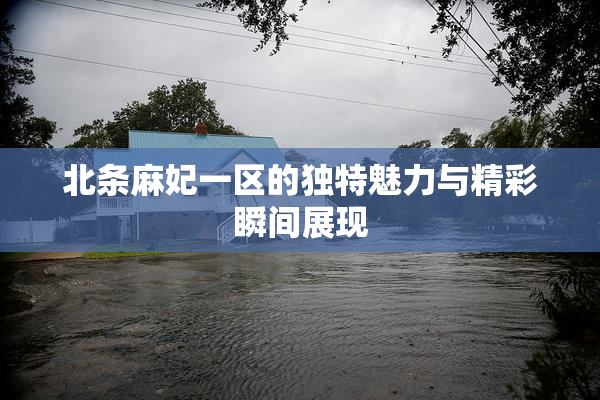 北条麻妃一区的独特魅力与精彩瞬间展现