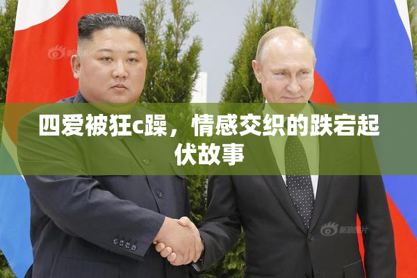 四爱被狂c躁，情感交织的跌宕起伏故事