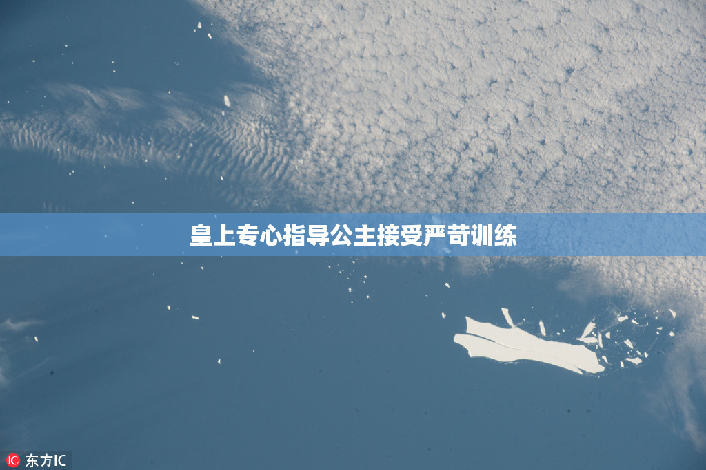 皇上专心指导公主接受严苛训练