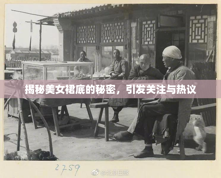 揭秘美女裙底的秘密，引发关注与热议
