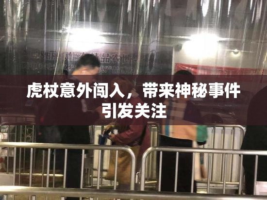 虎杖意外闯入，带来神秘事件引发关注