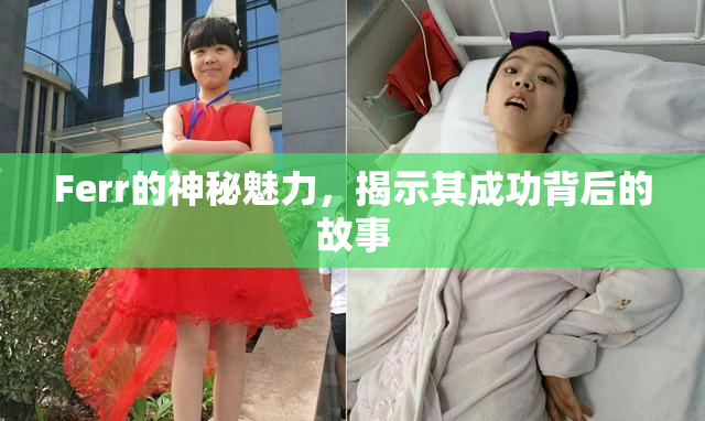 Ferr的神秘魅力，揭示其成功背后的故事