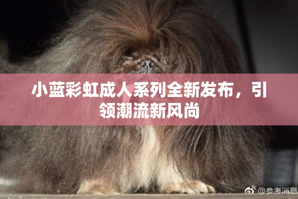 小蓝彩虹成人系列全新发布，引领潮流新风尚