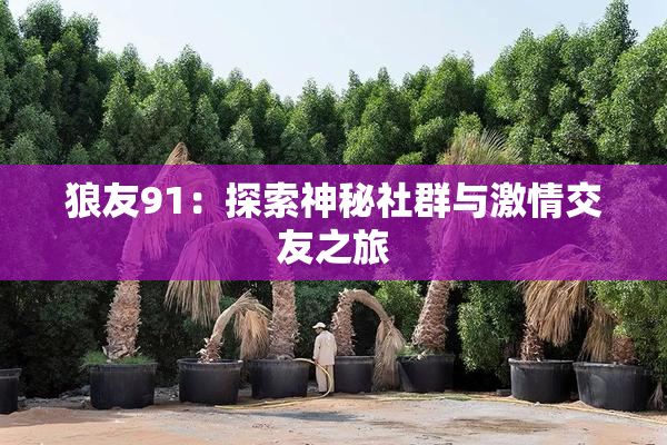 狼友91：探索神秘社群与激情交友之旅