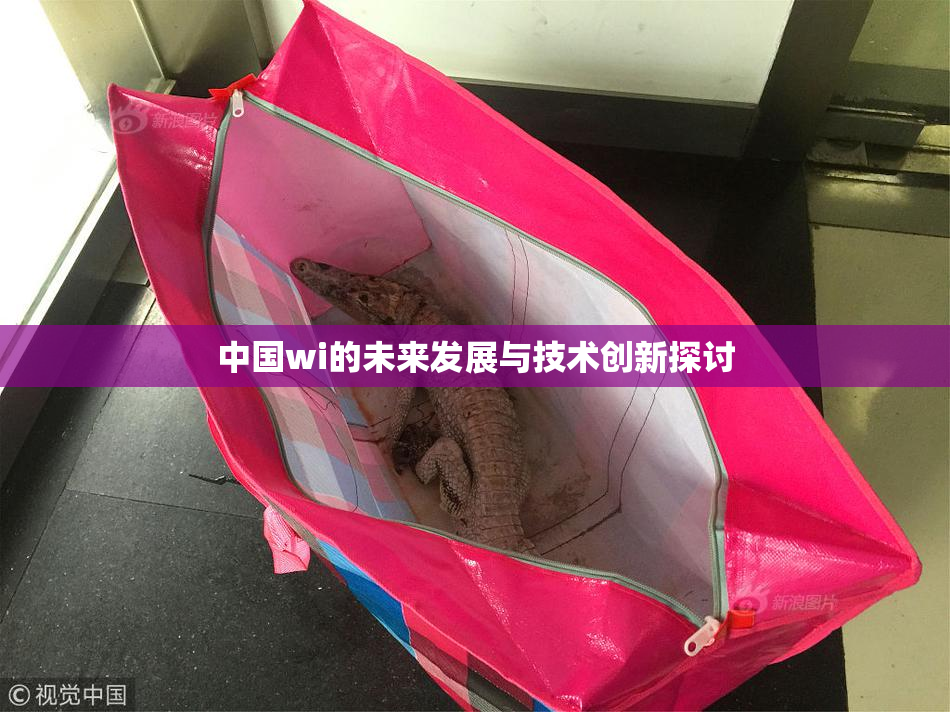中国wi的未来发展与技术创新探讨
