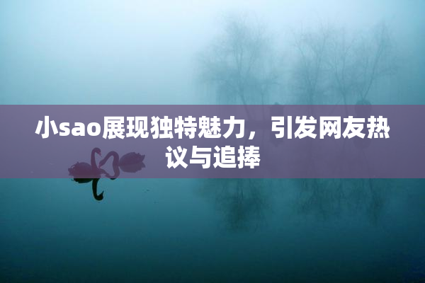 小sao展现独特魅力，引发网友热议与追捧