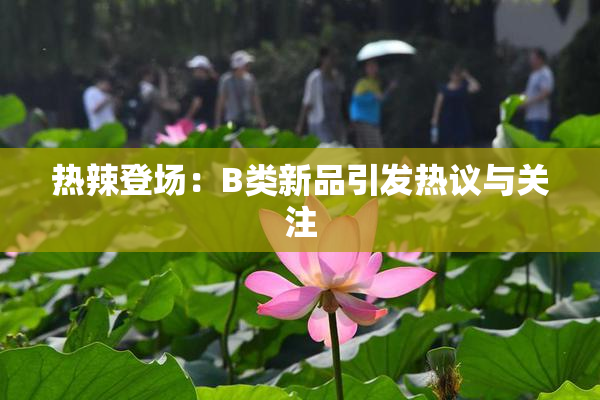 热辣登场：B类新品引发热议与关注