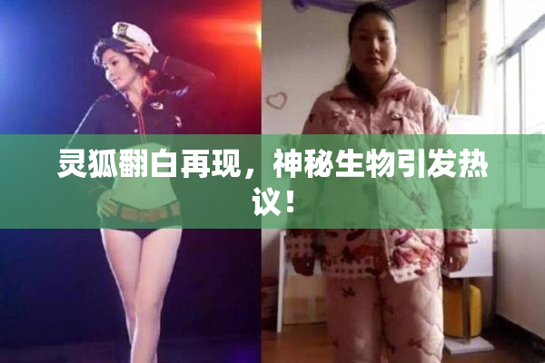 灵狐翻白再现，神秘生物引发热议！