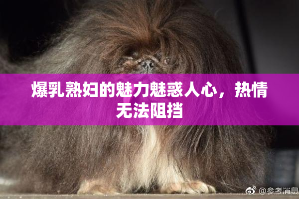 爆乳熟妇的魅力魅惑人心，热情无法阻挡