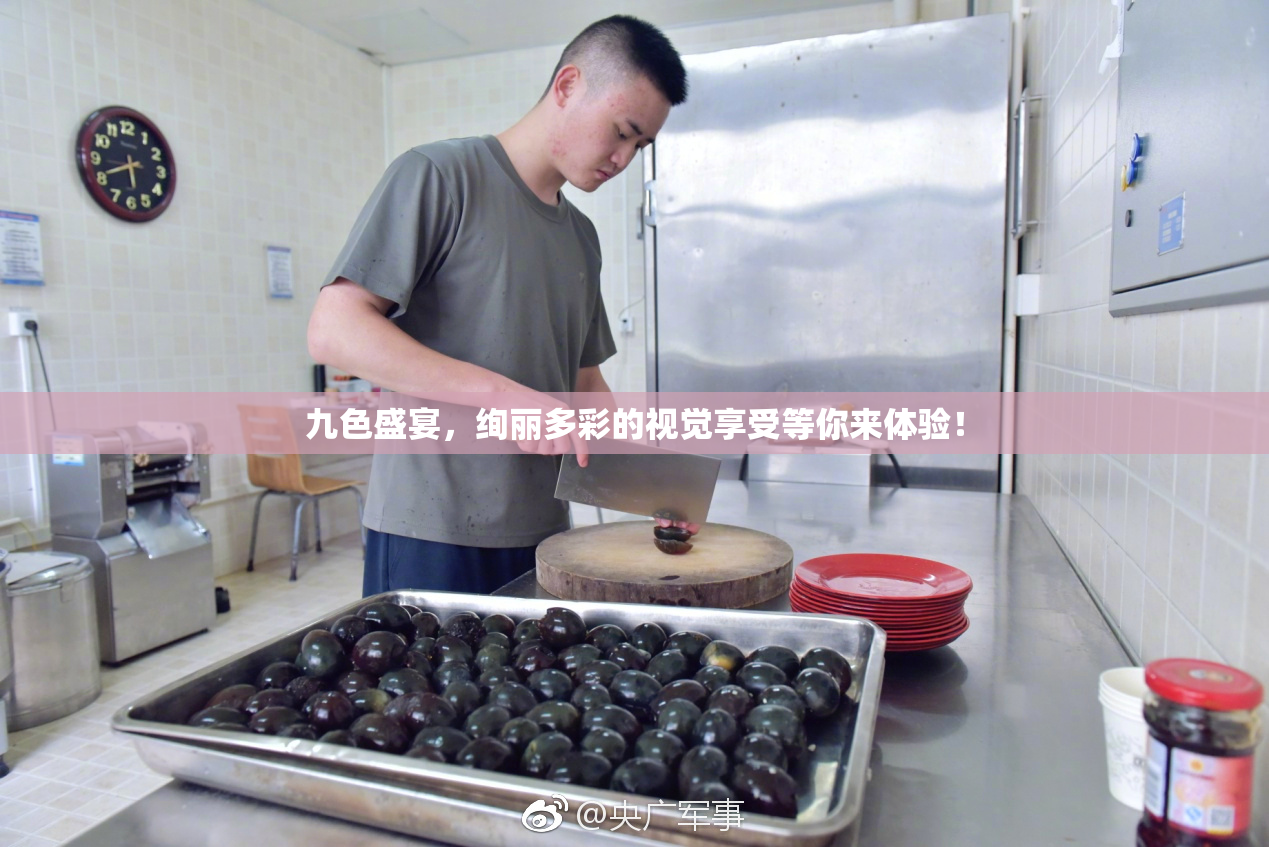 九色盛宴，绚丽多彩的视觉享受等你来体验！