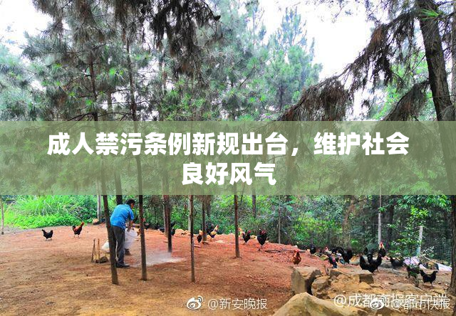 成人禁污条例新规出台，维护社会良好风气