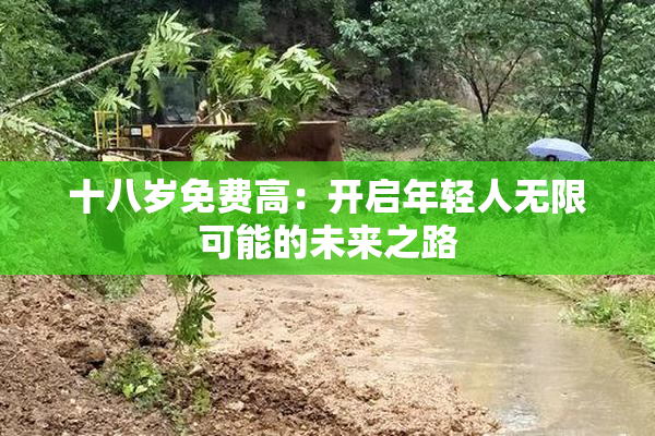 十八岁免费高：开启年轻人无限可能的未来之路