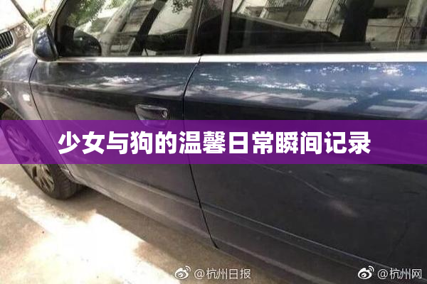 少女与狗的温馨日常瞬间记录