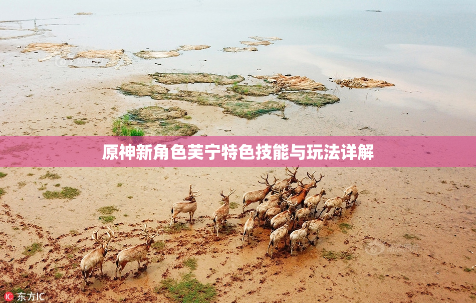 原神新角色芙宁特色技能与玩法详解