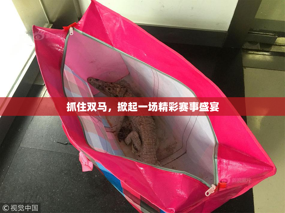 抓住双马，掀起一场精彩赛事盛宴