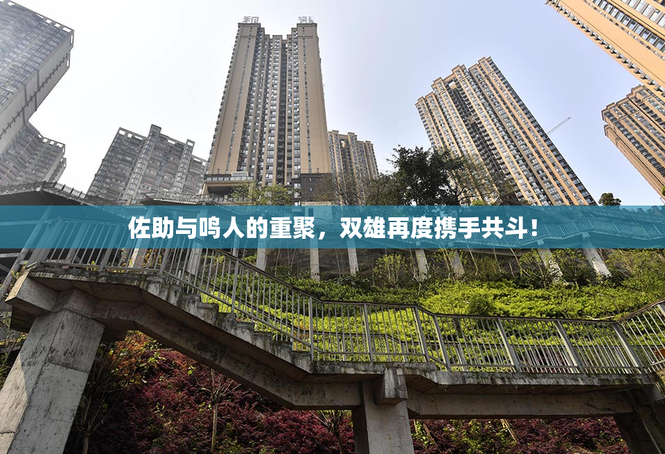 佐助与鸣人的重聚，双雄再度携手共斗！