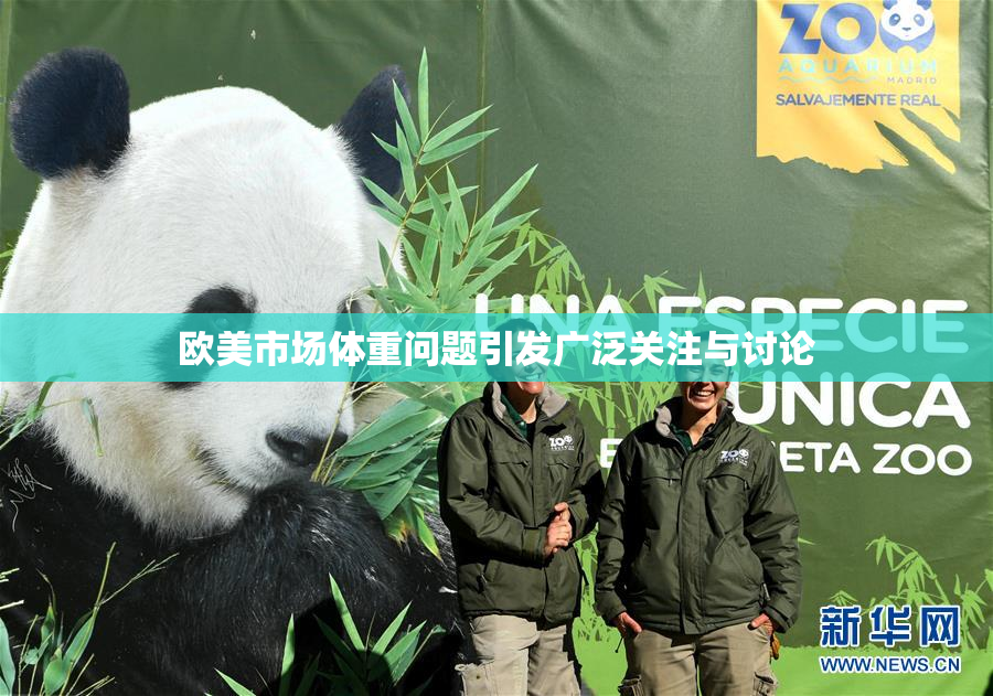 欧美市场体重问题引发广泛关注与讨论