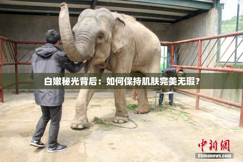 白嫩秘光背后：如何保持肌肤完美无瑕？