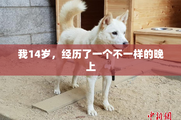 我14岁，经历了一个不一样的晚上