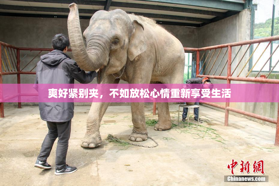 爽好紧别夹，不如放松心情重新享受生活