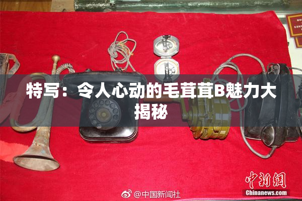 特写：令人心动的毛茸茸B魅力大揭秘