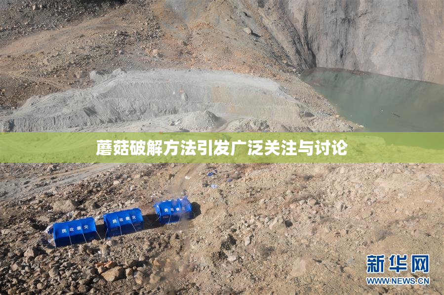 蘑菇破解方法引发广泛关注与讨论