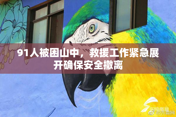 91人被困山中，救援工作紧急展开确保安全撤离
