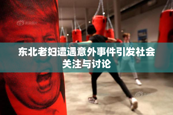 东北老妇遭遇意外事件引发社会关注与讨论