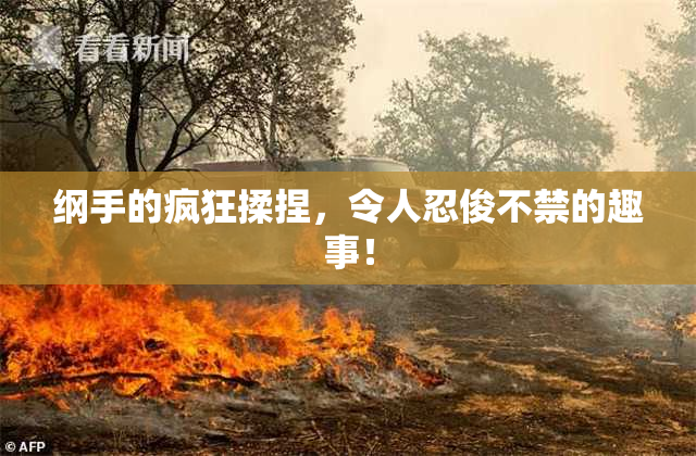 纲手的疯狂揉捏，令人忍俊不禁的趣事！