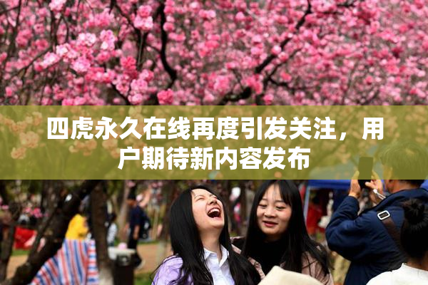 四虎永久在线再度引发关注，用户期待新内容发布