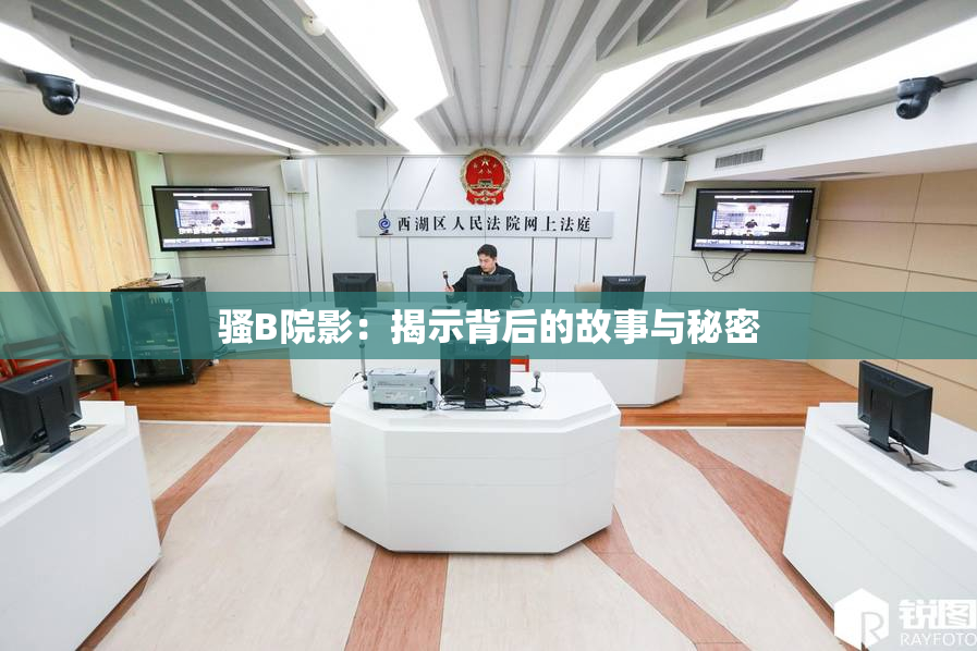 骚B院影：揭示背后的故事与秘密