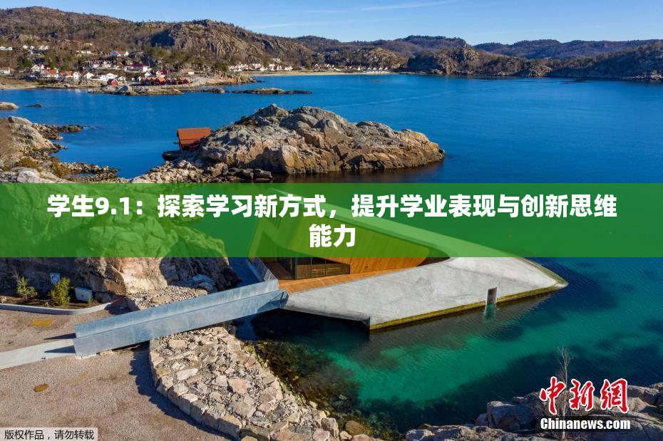 学生9.1：探索学习新方式，提升学业表现与创新思维能力