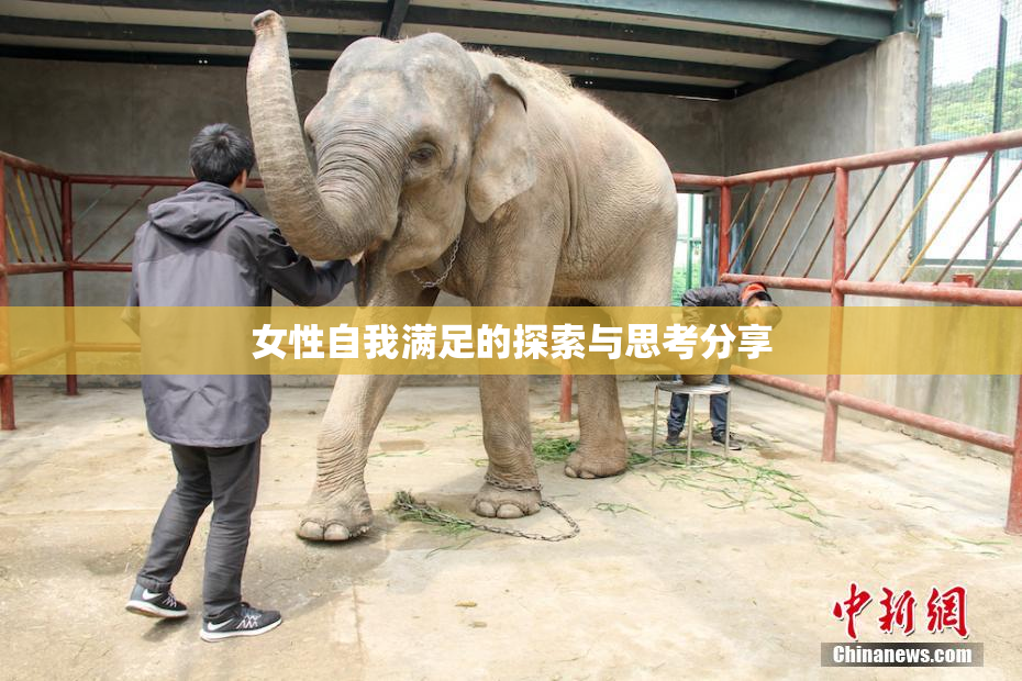 女性自我满足的探索与思考分享