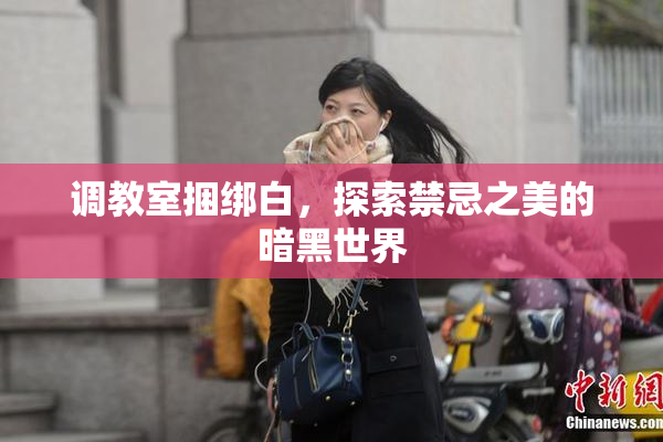 调教室捆绑白，探索禁忌之美的暗黑世界