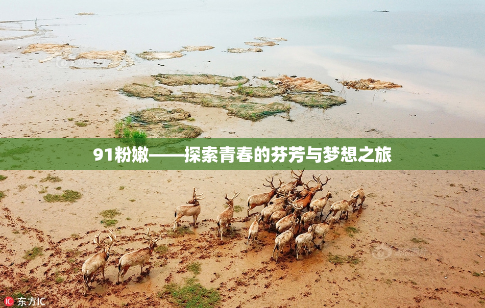 91粉嫩——探索青春的芬芳与梦想之旅