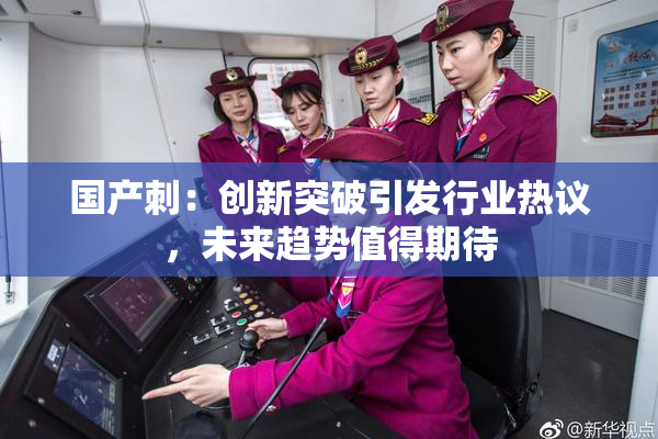 国产刺：创新突破引发行业热议，未来趋势值得期待