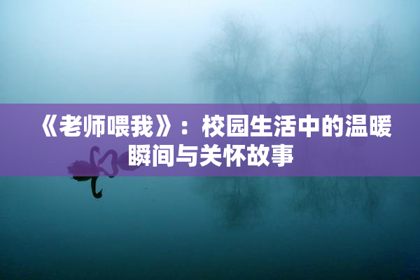 《老师喂我》：校园生活中的温暖瞬间与关怀故事