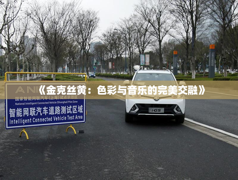 《金克丝黄：色彩与音乐的完美交融》